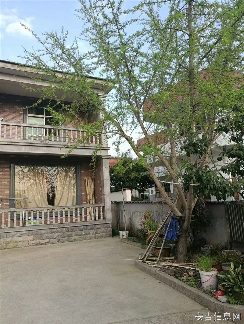 安吉刘家塘农民别墅出租